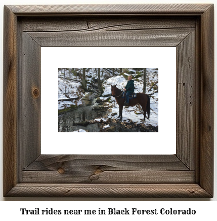 trail rides near me in Black Forest, Colorado